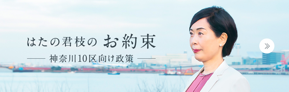 はたの君枝のお約束　神奈川10区向け政策