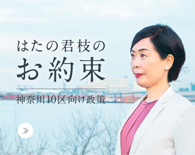 はたの君枝のお約束　神奈川10区向け政策
