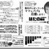 はたの君枝の「子育てサポートプランビラ」ができました