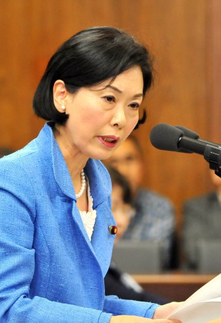 質問する畑野君枝議員＝２月２５日、衆院予算委分科会